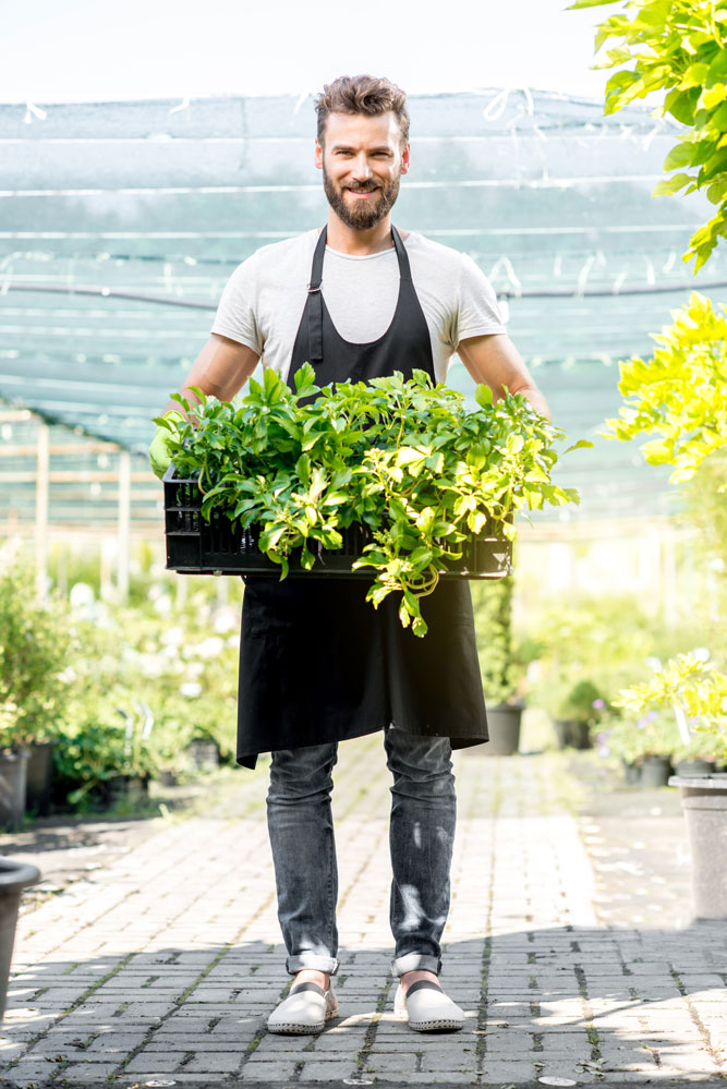 Gartenpflege & Grünpflege Borgentreich